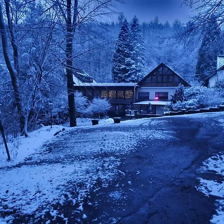 Siegerland-hotel 3*