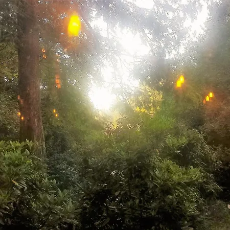 Siegerland-hotel פרוידנברג