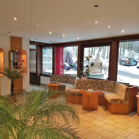 Siegerland-hotel מלון 3*