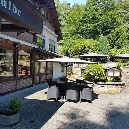 Siegerland-hotel 酒店 弗罗伊登贝格