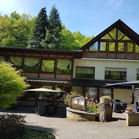 Siegerland-hotel Freudenberg (North Rhine-Westphalia)