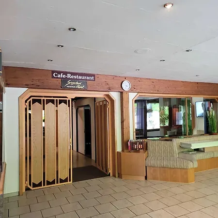 酒店 Siegerland-hotel
