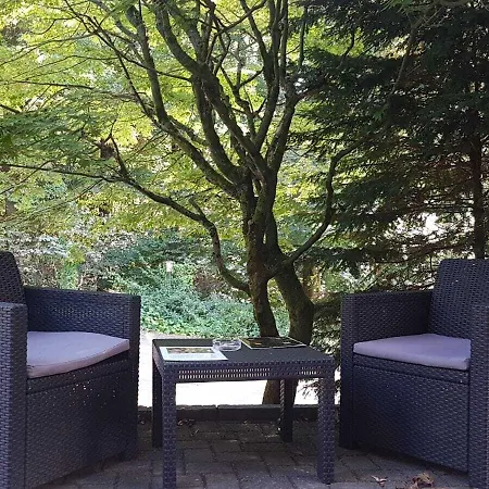 Siegerland-hotel 3* 弗罗伊登贝格