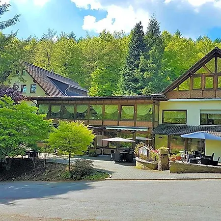 Siegerland-hotel מלון