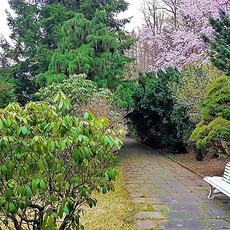 Siegerland-hotel מלון 3*