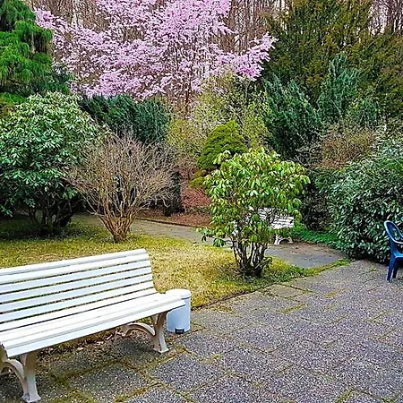 Siegerland-hotel 3* פרוידנברג