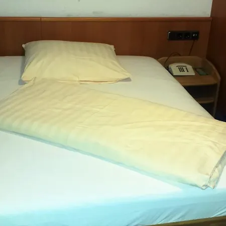 酒店 Siegerland-hotel 3*