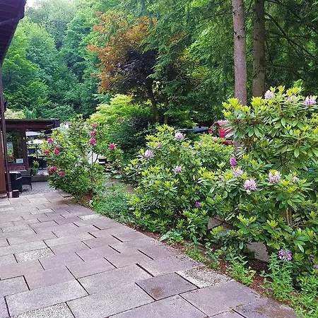 酒店 Siegerland-hotel 3*