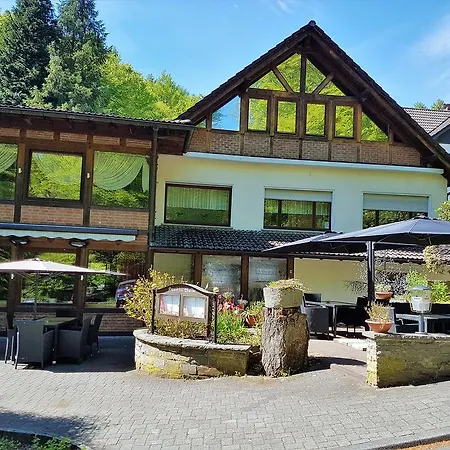 Siegerland-hotel 酒店 3*
