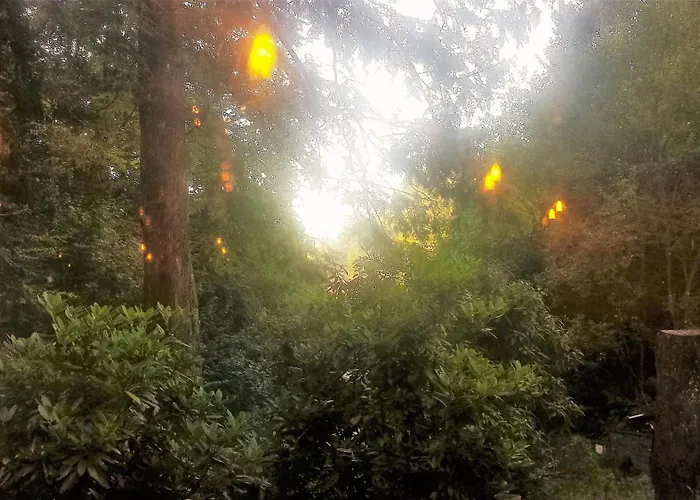 Siegerland-hotel Freudenberg (North Rhine-Westphalia)