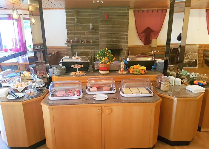 Siegerland-hotel Hotell Freudenberg (North Rhine-Westphalia)