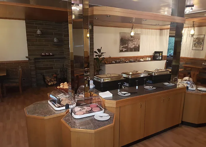 מלון Siegerland-hotel 3*