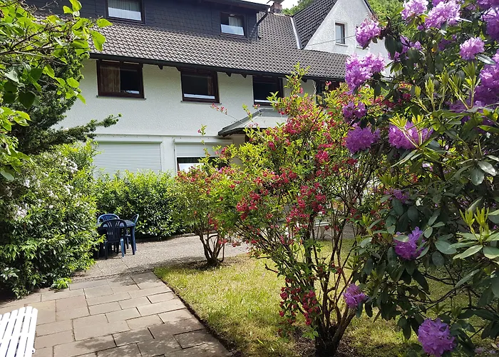 Siegerland-hotel מלון