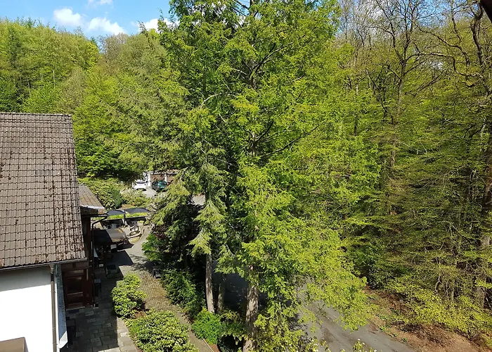 מלון Siegerland-hotel 3*